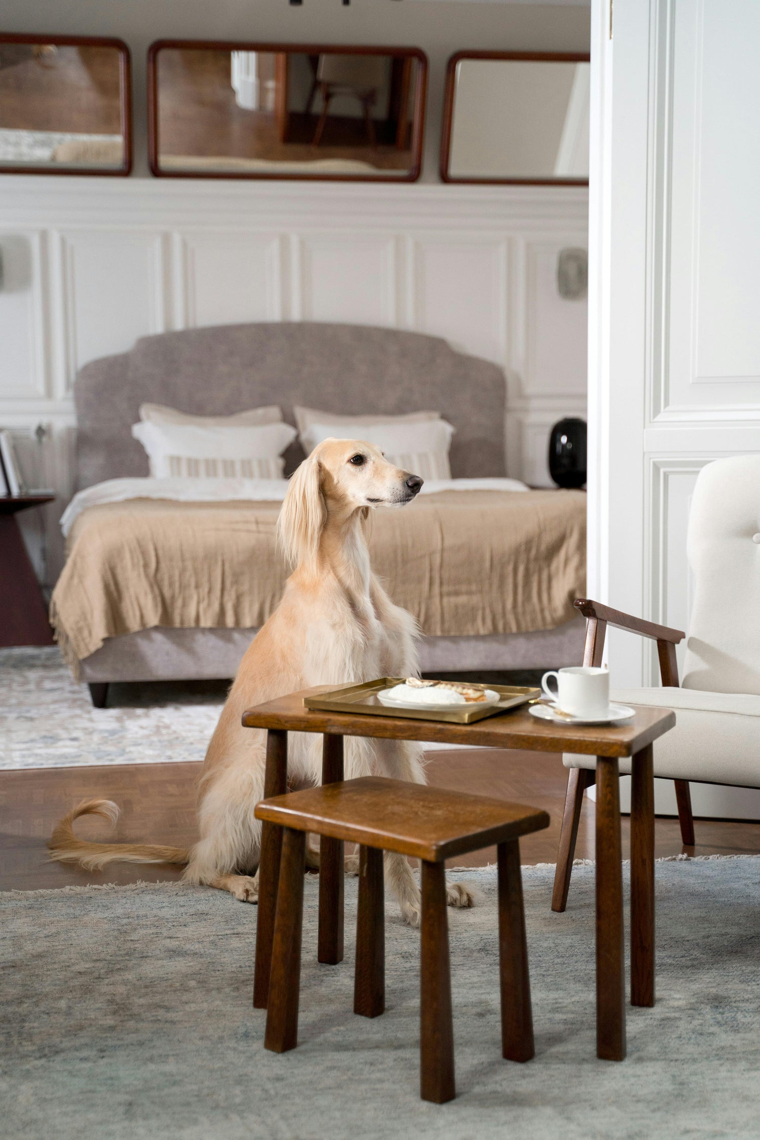 Pet's Corner